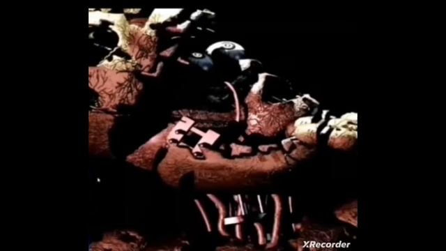 в одном из этих видео есть скример!
