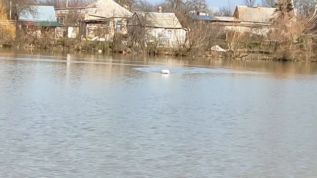 Влияние калибровки компаса на aвтопилот