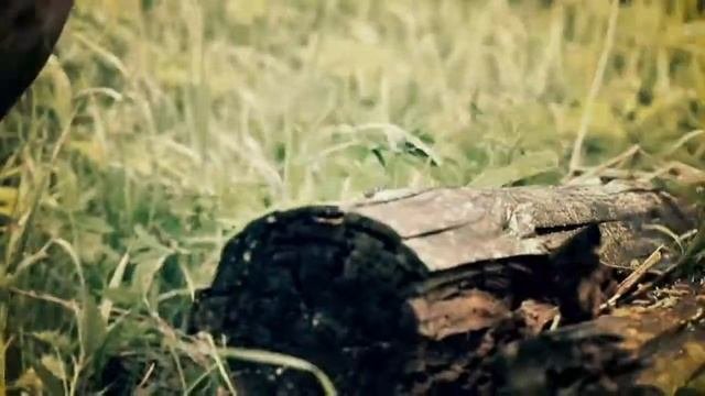 Цепь судьбы
