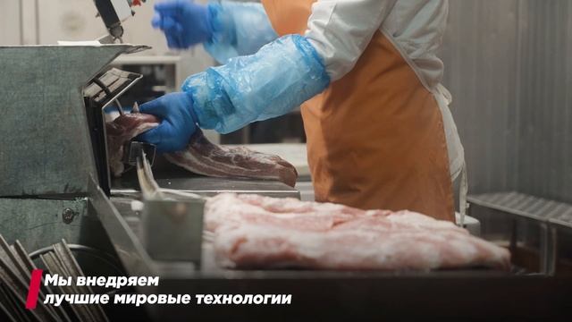 Сегмент ‭«Мясопереработка»