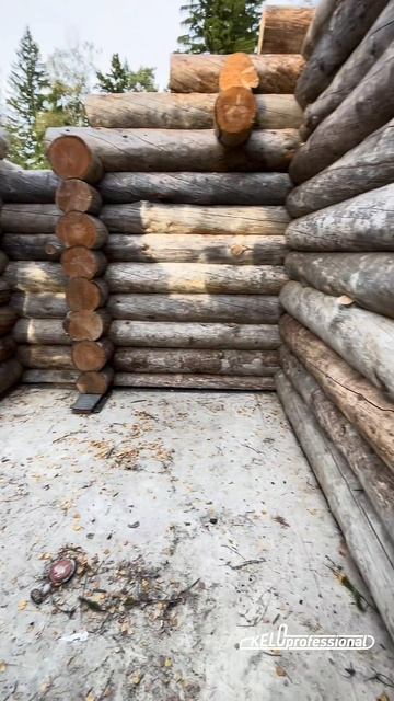 Сборка сруба из карельской сосны Кело