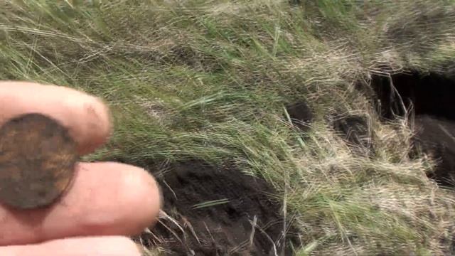 ищем клад или удачный выезд на коп