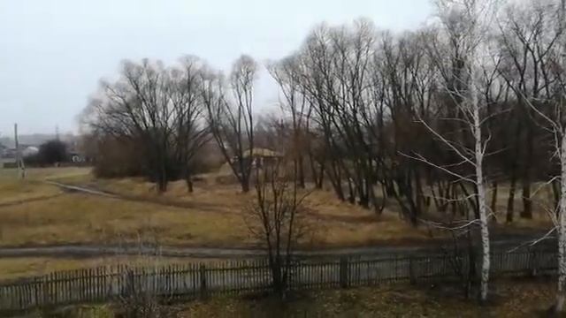 Неживая природа