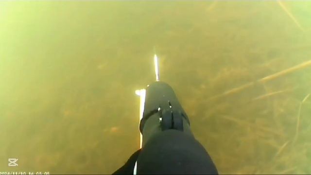 подводная охота новичка