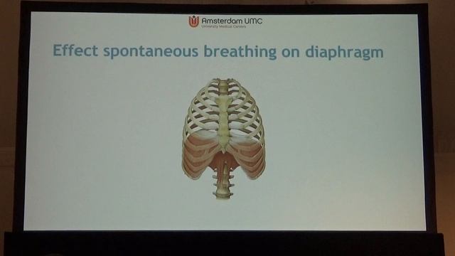 Safe spont breath in ARDS L Heunks