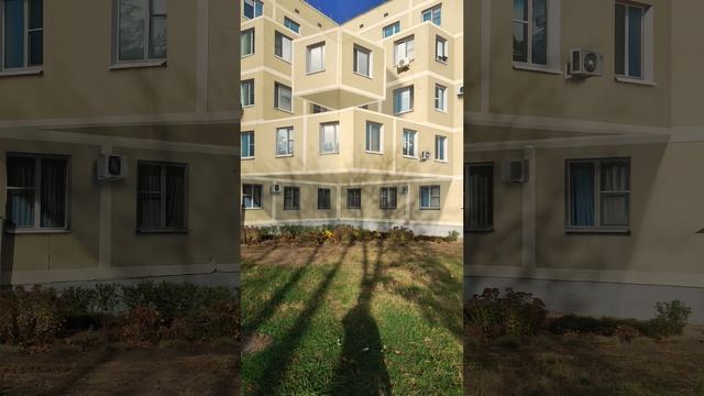 Творчество художников