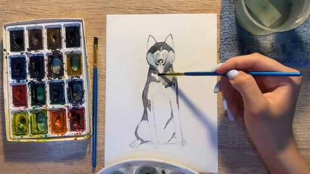 Как нарисовать Хаски карандашом и акварелью начинающим | Рисунок для детей
