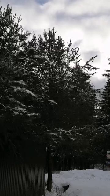 YouCut_20250128_002555823.mp4