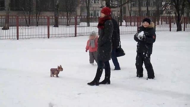Авторская сьёмка.  Зимушка-зима.