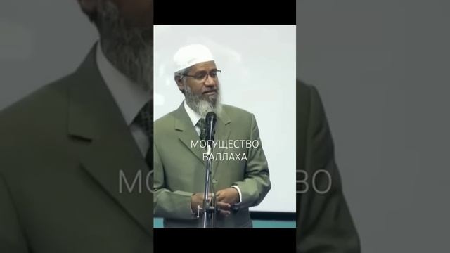 Могущество Аллаха.Доктор Закир Найк (360p)