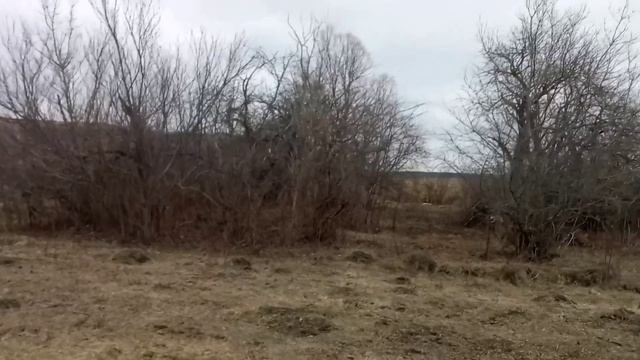Чистка сада в родовом дворе Воронежской области, версия без интернета