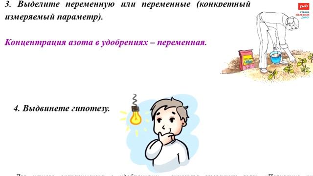 Методы исследовательской работы. Эксперимент