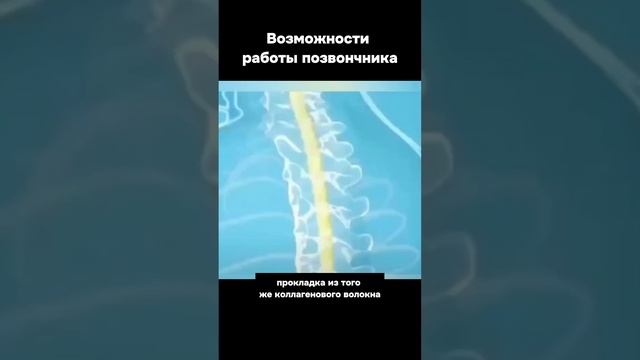 Возможности позвоночника... И проблемы #здоровье