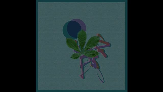 CausaliDox - Lying on the winter forest floor at dusk on psilocybin [Teorema]