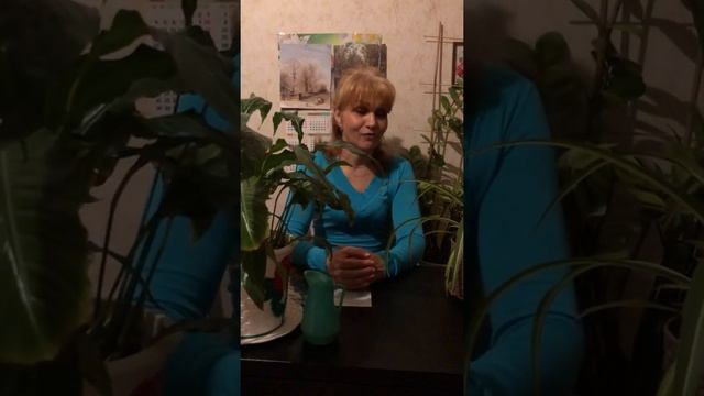 Формируем бережное отношение к живой природе (дет.)