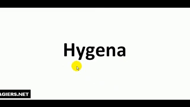 Как произносится  # Hygena