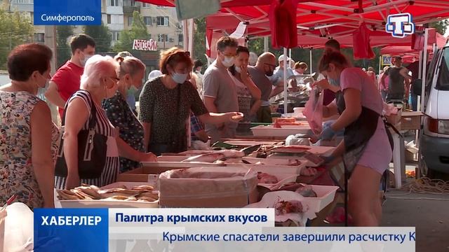 Хаберлер (на русском языке) 08.08.21