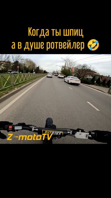Шпиц с душой ротвейлера #shorts #surron #ebike #enduro #moto #segway #питбайк #pitbike #дтп