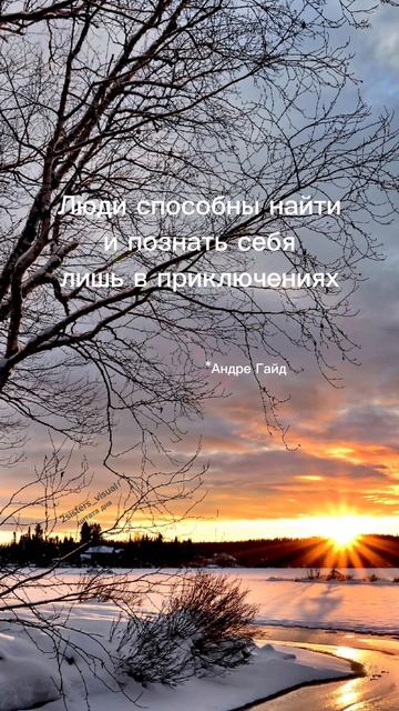 Цитата дня