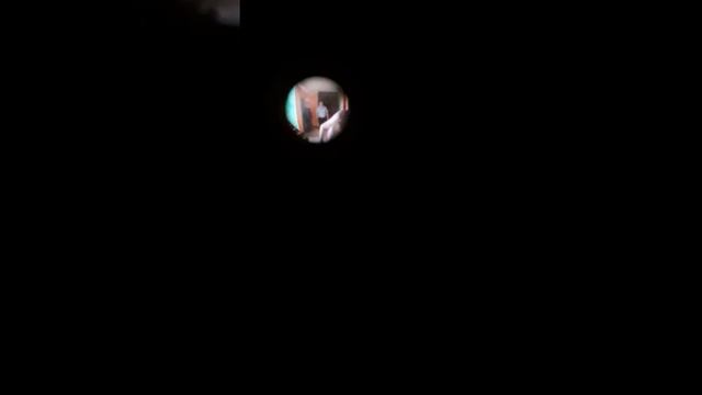 Ирония судьбы или с легким паром 2019
