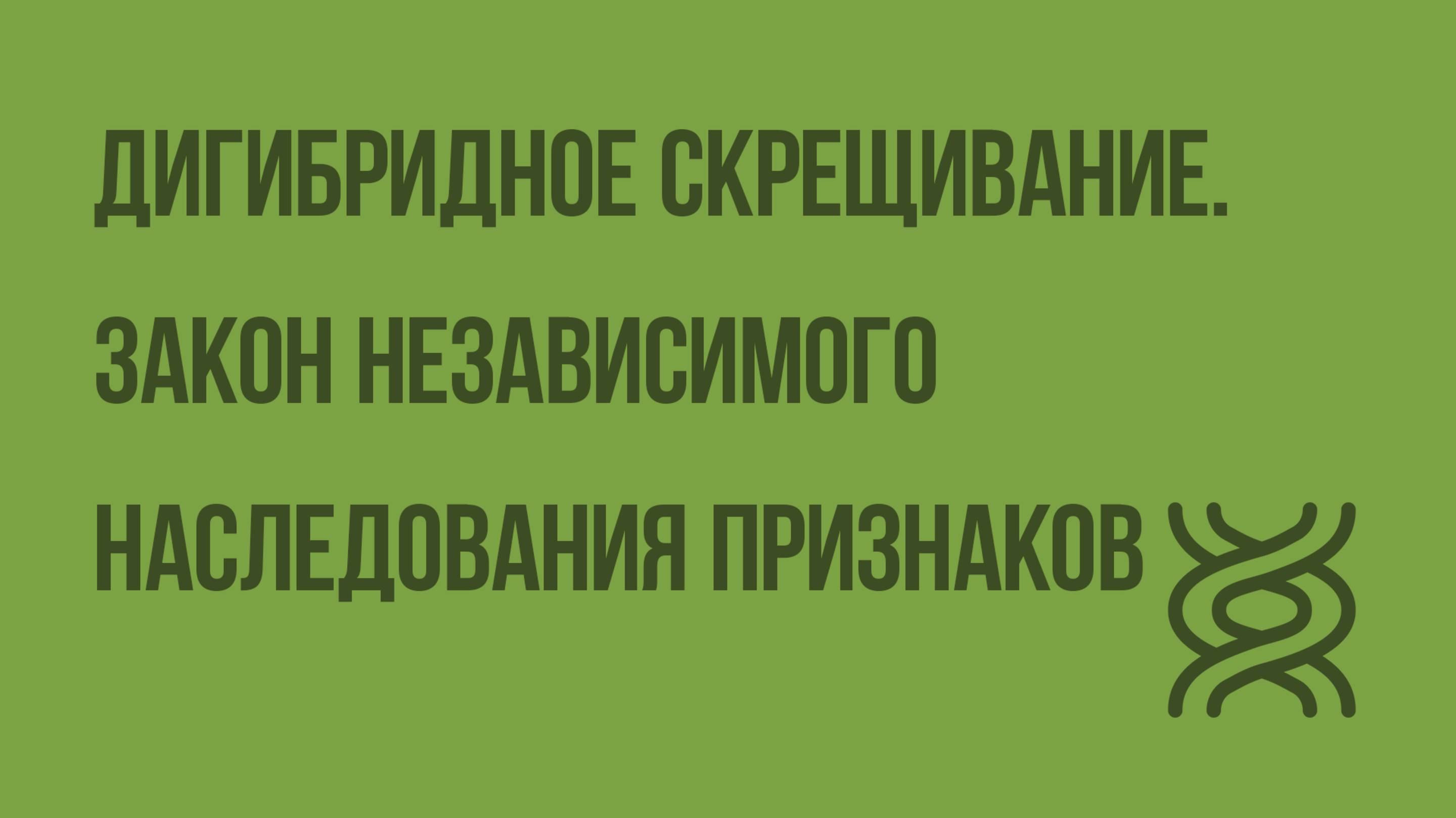 Дигибридное скрещивание. Закон независимого наследования признаков. Видеоурок по биологии 10 класс