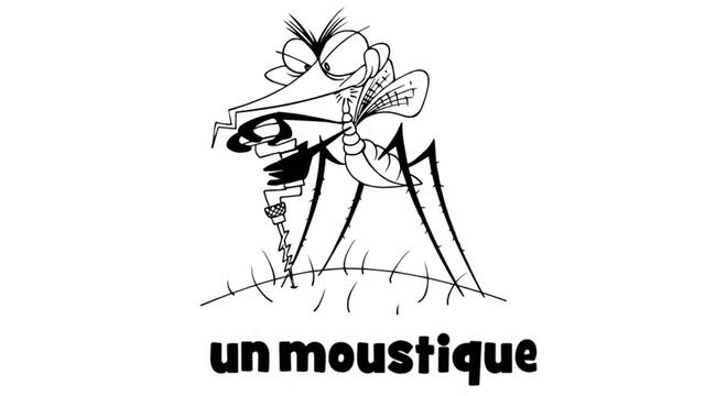 урок французского языка # un moustique