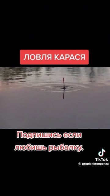 28-01-2025