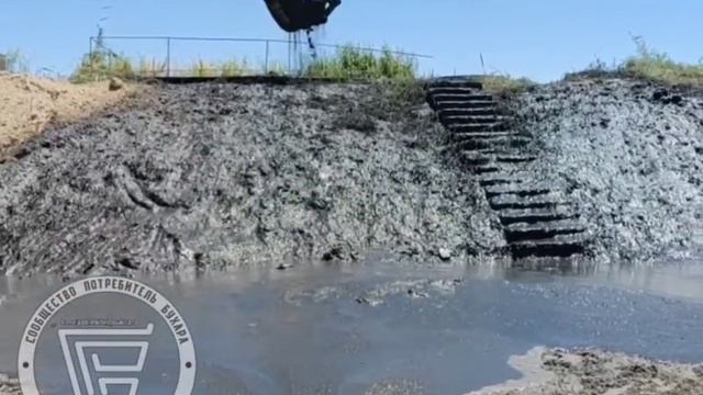 Вредители Гиждуванские