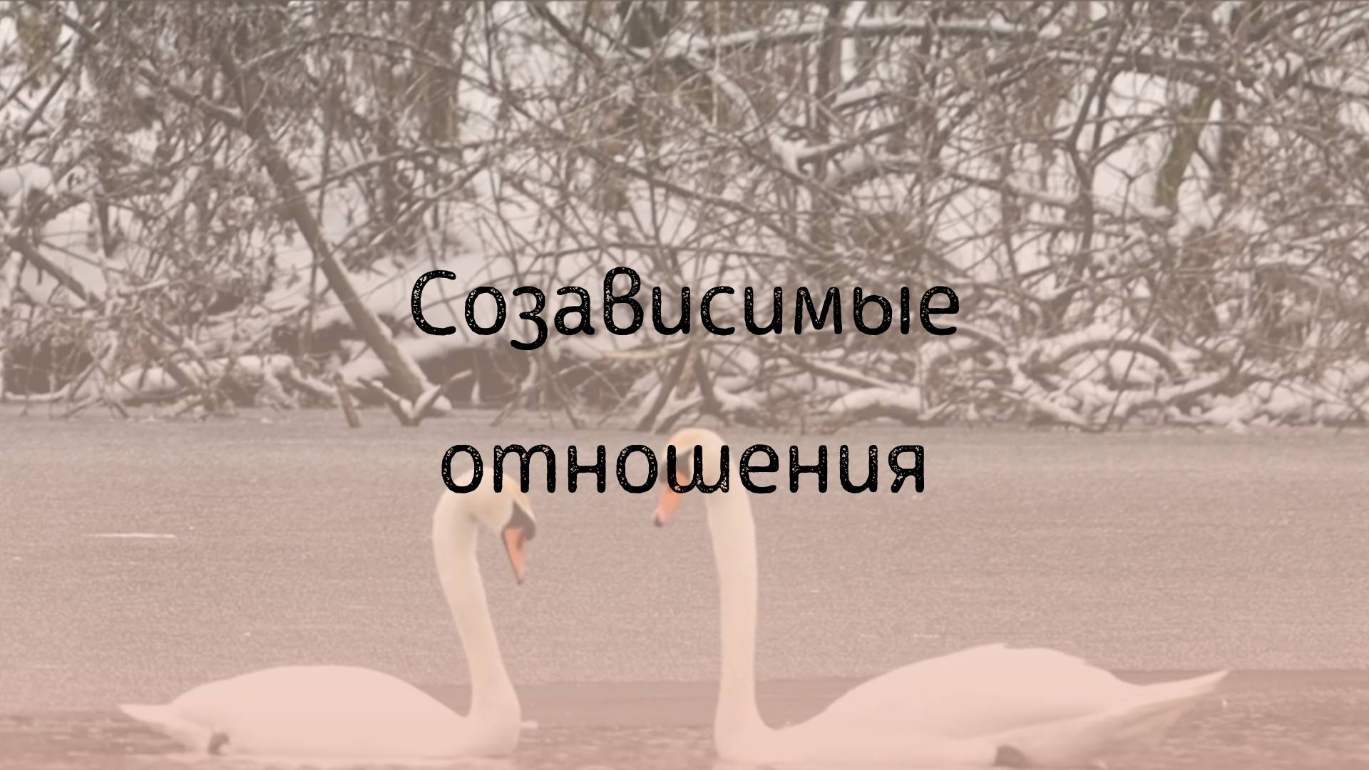 Созависимые отношения