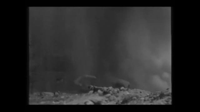 О подвиге Вити Новицкого