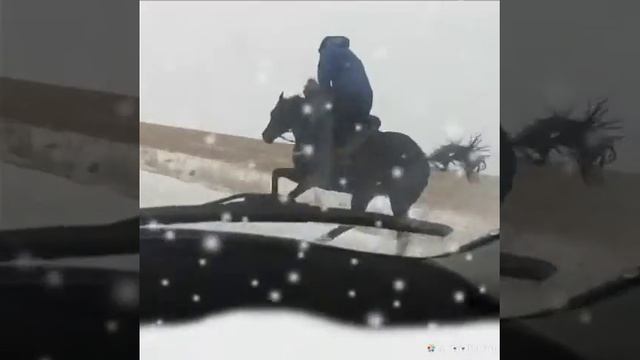 Чукур у носится
