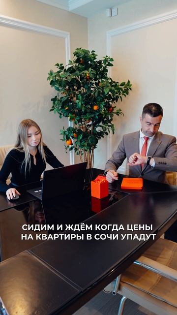 Сидим и ждём, когда недвижка в Сочи подешевеет... #винсентнедвижимость #недвижимостьсочи