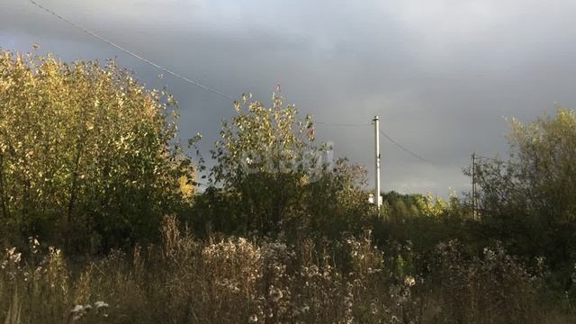 11496297