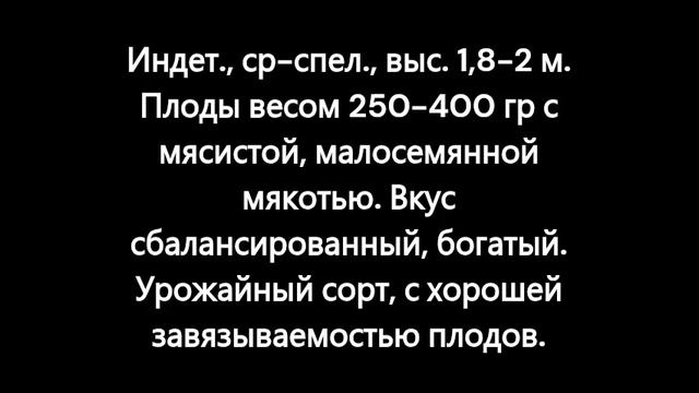 Каталог томатов 2024 год. Часть 12. Проверенные сорта. г. Киров