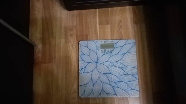 28.01- начало)))