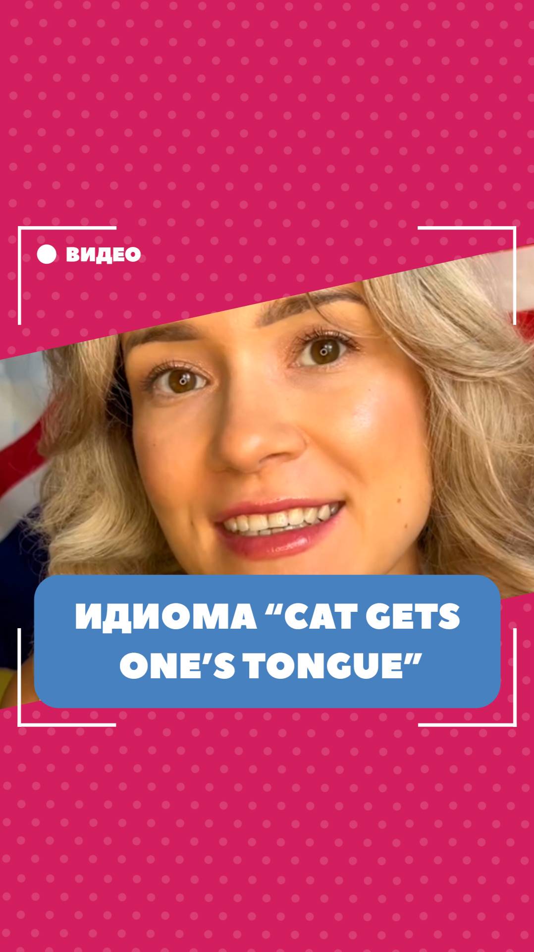 Идиома "cat gets one's tongue". Школа английского языка English Discussions