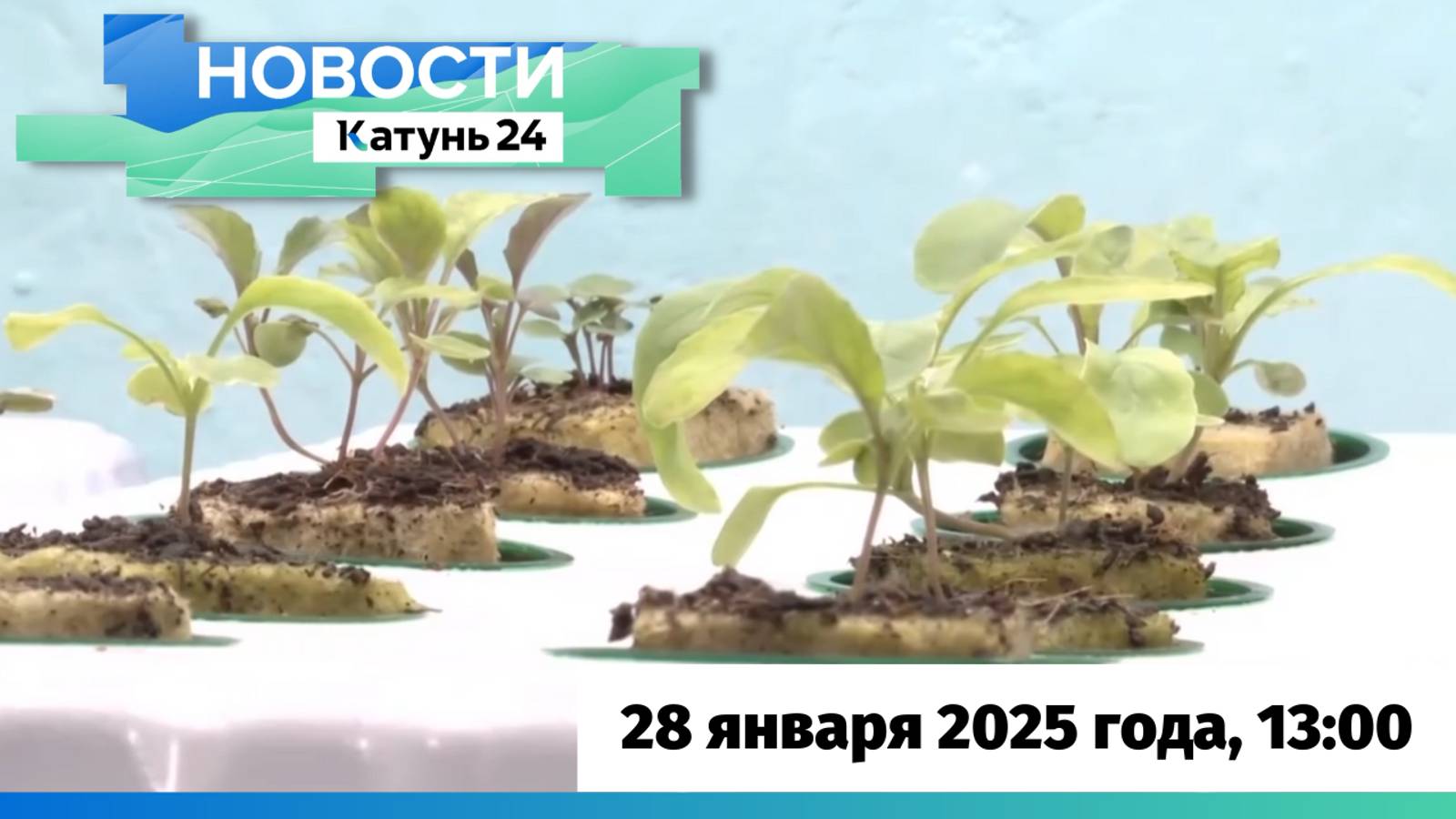 Новости Алтайского края 28 января 2025 года, выпуск в 13:00