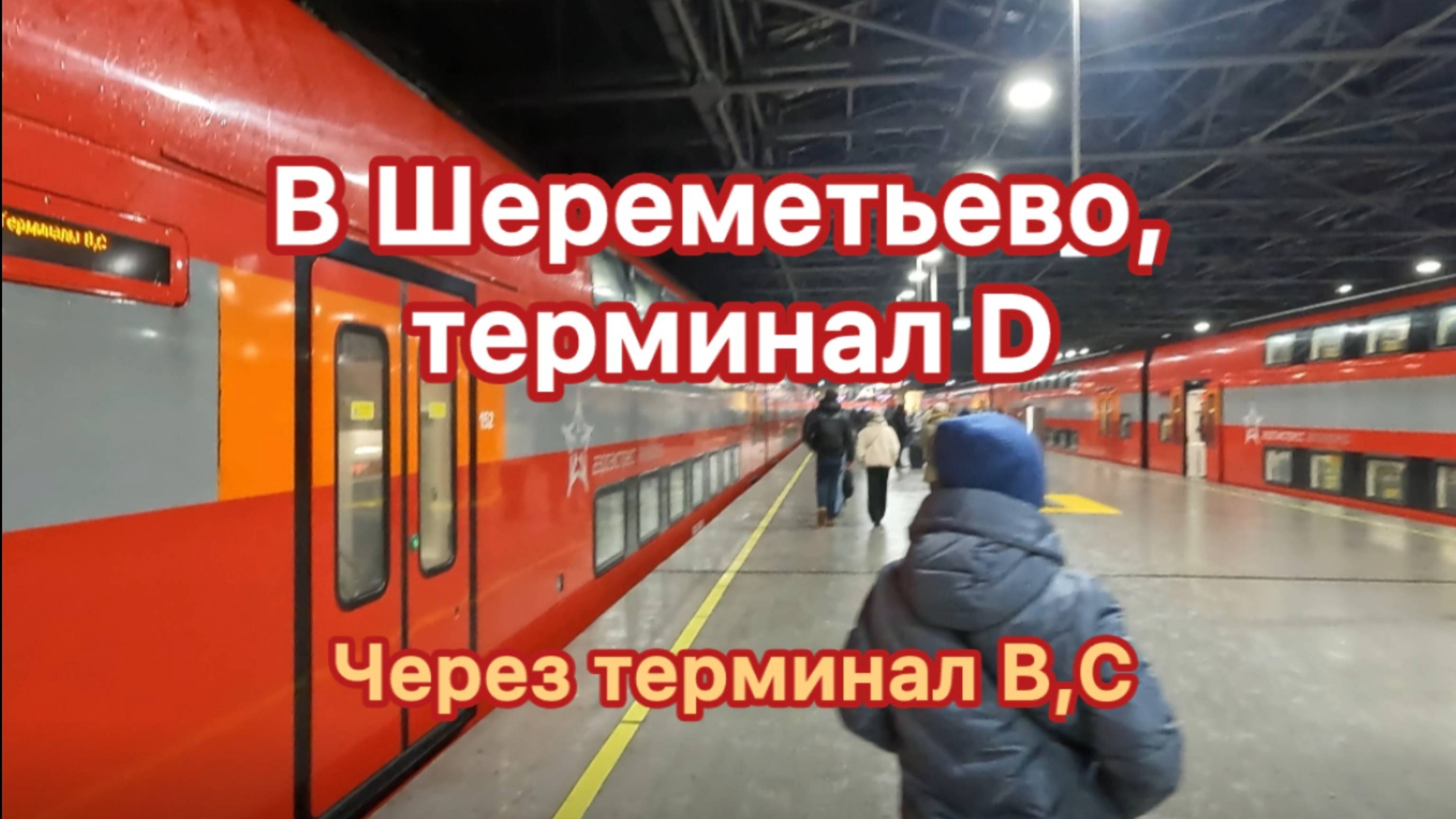 В аэропорт Шереметьево, терминал D, через терминалы B,C