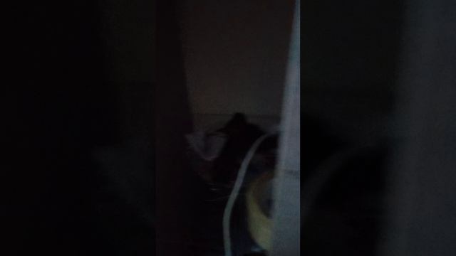 рум тур.