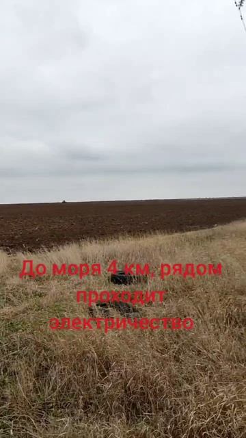 Приветное 9.5 га