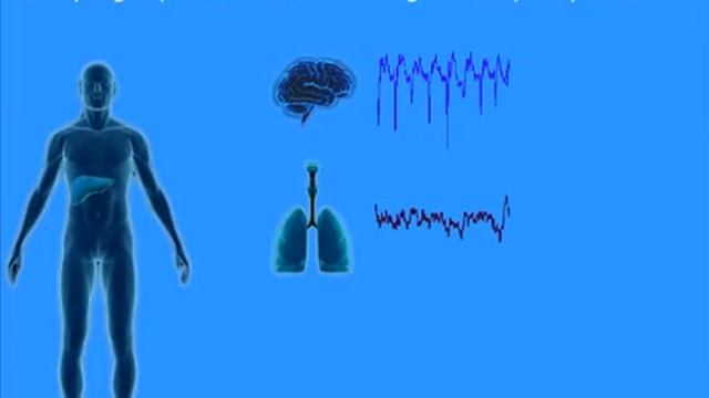 Effect of EHF waves on cells