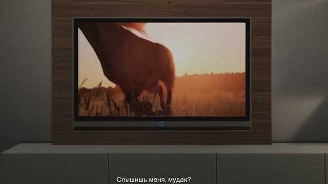Американские Национальные Права American National Rights