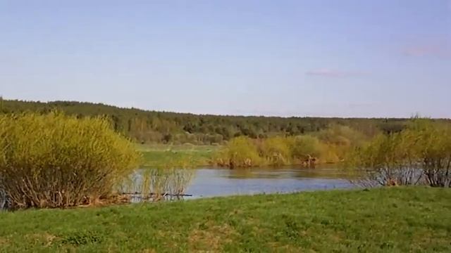 Логово лиса.