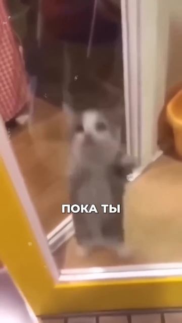Выпуск уже на канале!!!