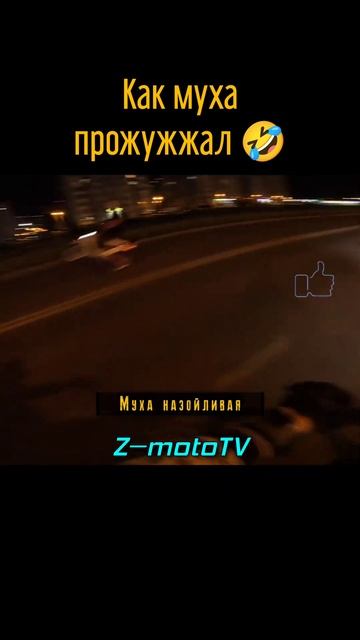 Жужжащий жубжик #shorts #surron #ebike #enduro #moto #segway #питбайк #pitbike #дтп #gopro10black