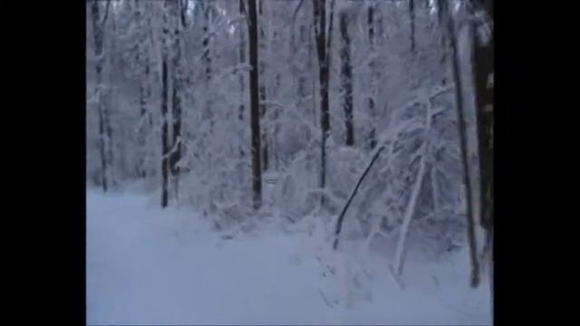 просто небольшая зимняя зарисовка