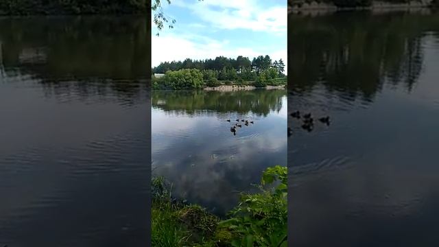 Швейцария по-русски