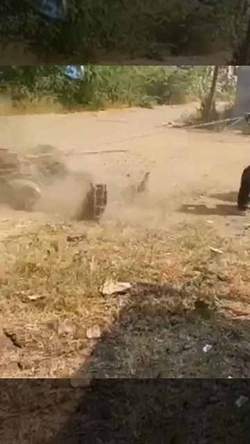 Когда Африканцы помогают Русским на СВО !!!