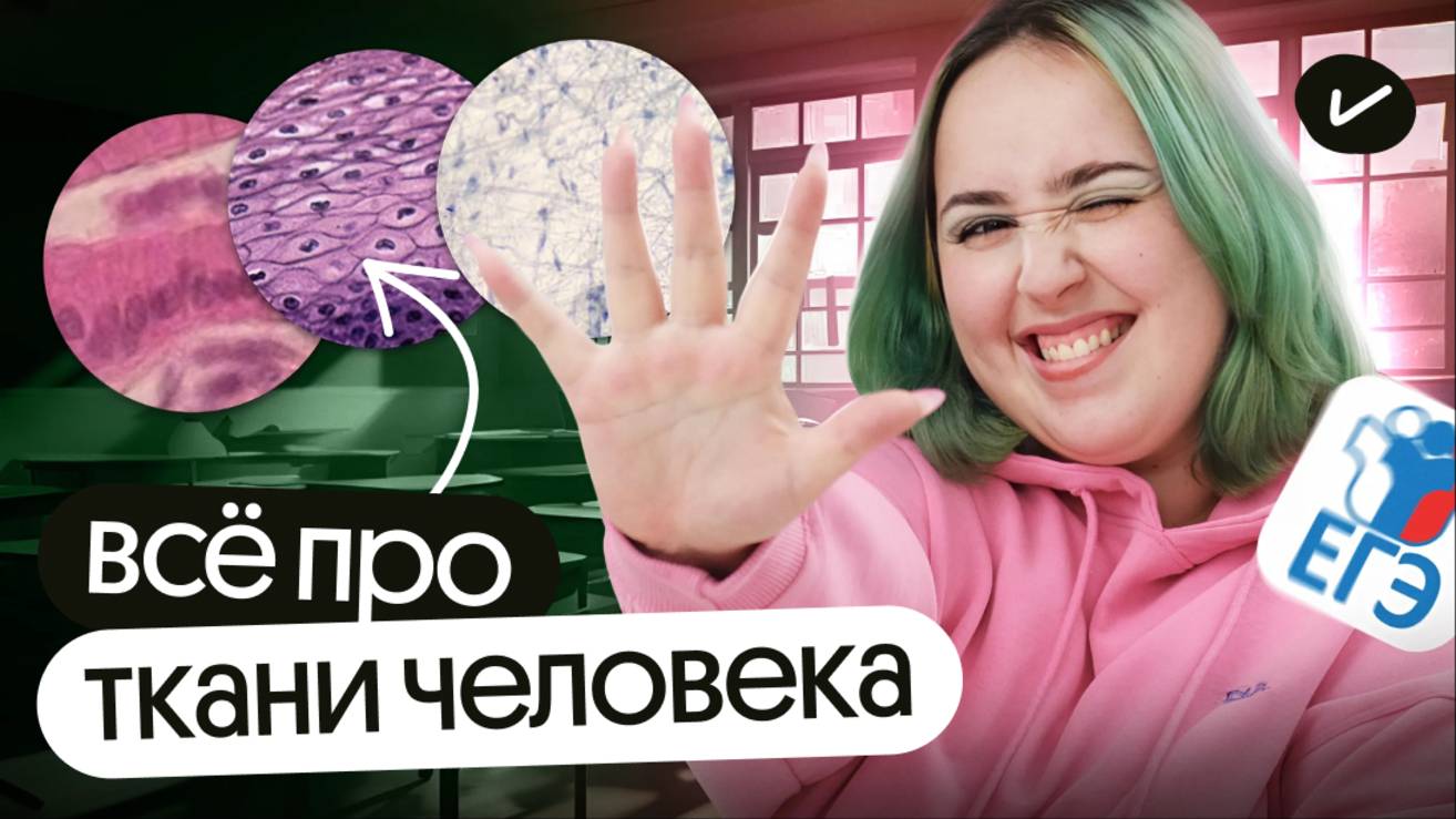 💪 ВСЁ про ТКАНИ ЧЕЛОВЕКА | ЕГЭ по биологии 2025