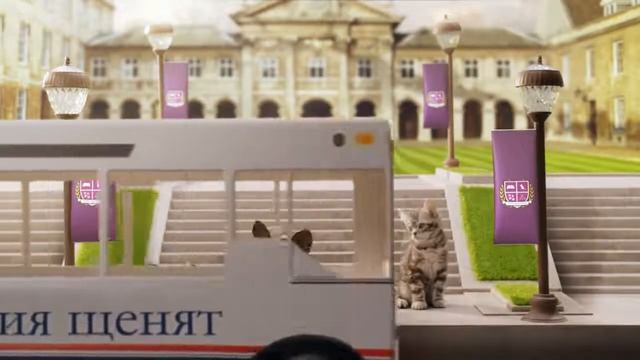 Академия котят. Эпизод 4. Студенты по обмену. 🐱
